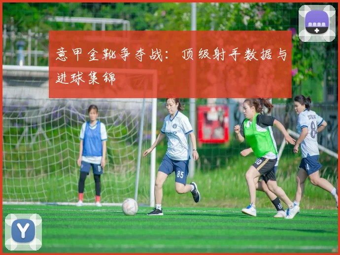 意甲金靴争夺战：顶级射手数据与进球集锦